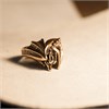 Кольцо "Спящий Дракон" (17-19) 22103